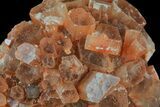 Aragonite Twinned Crystal Cluster - Morocco #59789-2